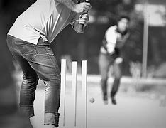Image result for Cricket Black and White Pic