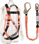 Image result for Fall Arrest Harness and Lanyard