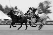 Image result for Polo Game