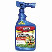 Image result for Lawn Weed Spray