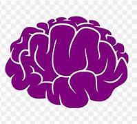 Image result for Human Brain Meme