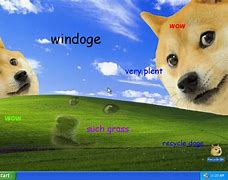 Image result for Win Doge Meme