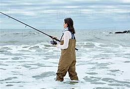 Image result for Sea Waders