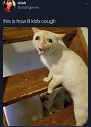 Image result for Wheezing Cat Meme