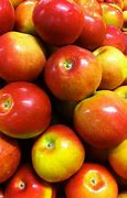 Image result for McIntosh Apple