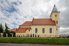 Image result for krzyżowniki