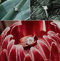 Image result for Ring Light Photography