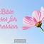 Image result for bible verse for hope