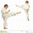 Image result for Kyokushin Karate GI