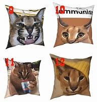 Image result for Cat Meme Pillow