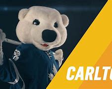 Image result for Toronto Maple Leafs Mascot Carlton The Bear Photos