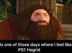 Image result for Harry Potter Memes Hagrid