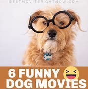 Image result for Funny Dog Movies