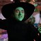 Image result for Wicked Witch Character