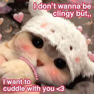 Image result for Wanna Snuggle Cat Meme