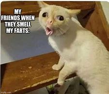 Image result for Cat Fart Meme