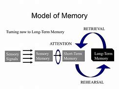 Image result for Varieties of Long-Term Memory Chart