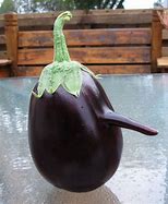 Image result for Biggest Funny Fruit
