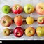 Image result for English Eating Apples Varieties