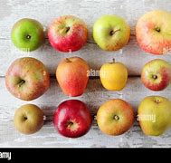 Image result for British Apple Varieties