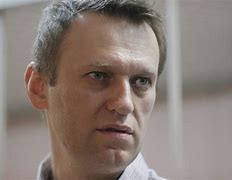 Image result for Navalny Portrait Sticker