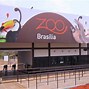 Image result for African Elephant Brazil Zoo