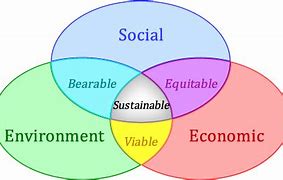 Image result for Reading Pins for Sustainability