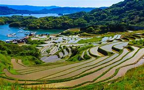 Image result for Rice Terraces in Japan