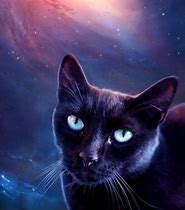 Image result for Cat Art Spiritual Galaxy