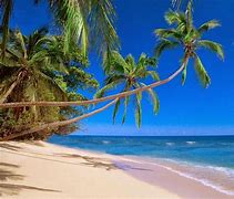 Image result for Nicaragua Tropical Beach