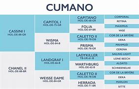 Image result for cumano