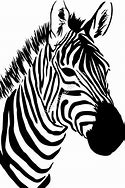 Image result for Zebra Outline SVG