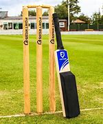 Image result for Cricket Match Bat