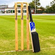 Image result for Cricket Bat