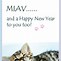 Image result for Happy New Year Cat Funny