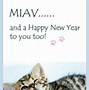 Image result for New Year Wished Funny