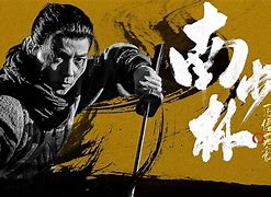 Image result for 南少林 Southern Shaolin