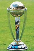 Image result for Cricket Trophy