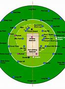 Image result for Labeling Parts of a Cricket