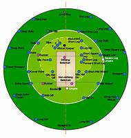 Image result for Cricket Field Placings Diagram