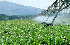 Image result for agroindustroal