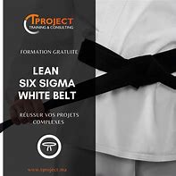 Image result for Lean Six Sigma White Belt
