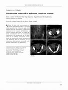 Image result for calcificaci�n