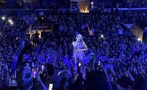 Image result for Ariana Grande Concert Crowd