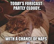 Image result for Cat Nap Quotes