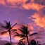 Image result for Sunset Wallpaper for iPhone