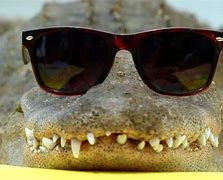 Image result for Alligator in Lab Coat and Glasses