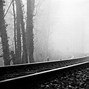 Image result for Black and White Nature Wallpaper 2D