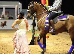 Image result for Dubai Horse Show