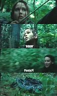 Image result for Hunger Games Mockingjay Memes